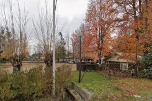 Feria De Los Agricultores, Linares