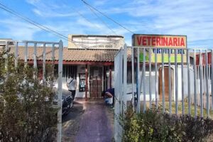 Food Pets &ndash; Alimento y Accesorios Para Mascotas