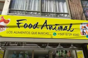 FoodAnimal