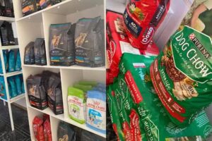 Friends Dogat Pet Shop