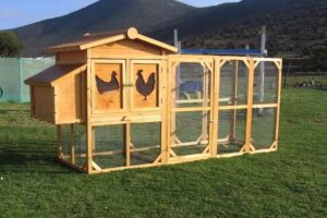 Gallinerosdemaestrolobo