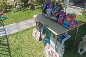 Gatito Feliz, Arenas y Alimentos Para Gatos