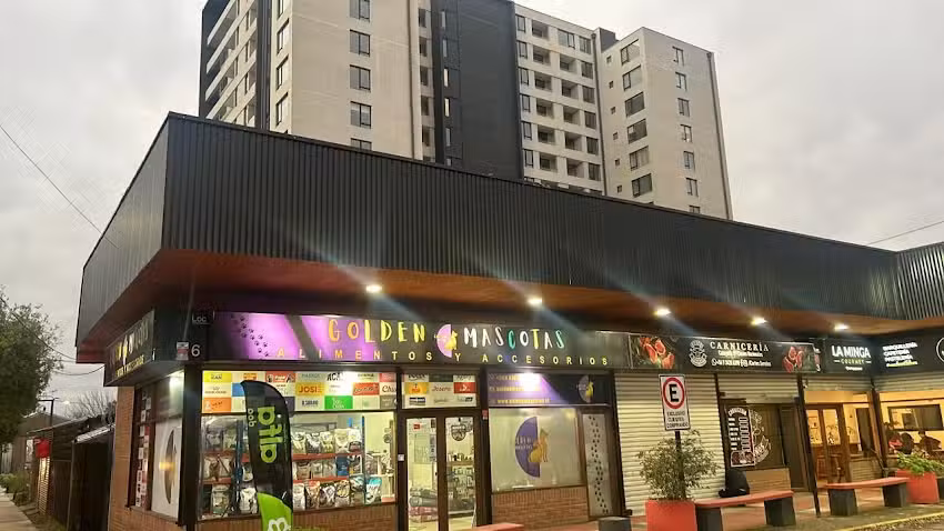 Golden Mascotas