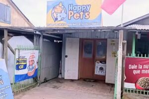 Happy Pets M&aacute;fil