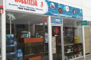 HOBBYFISH acuarios & mascotas