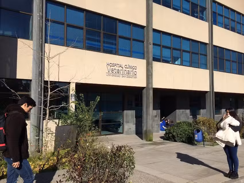 Hospital Cl&iacute;nico Veterinario de la Universidad San Sebasti&aacute;n Sede Tres Pascualas