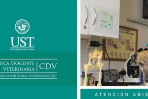 Hospital Cl&iacute;nico Veterinario Docente UST