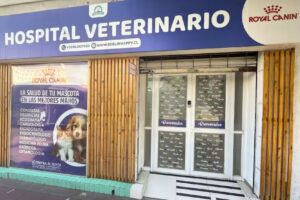 Hospital Cl&iacute;nico Veterinario en San Miguel