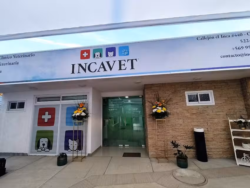 Hospital Cl&iacute;nico Veterinario Incavet Copiapo