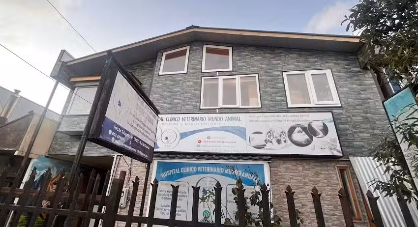 Hospital Cl&iacute;nico Veterinario Mundo Animal