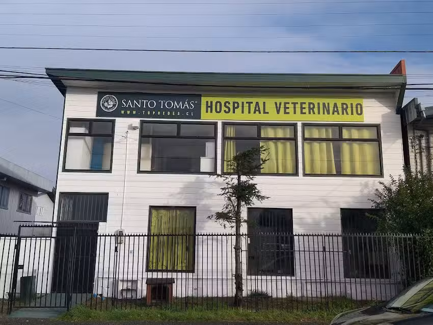 Hospital Clinico Veterinario UST