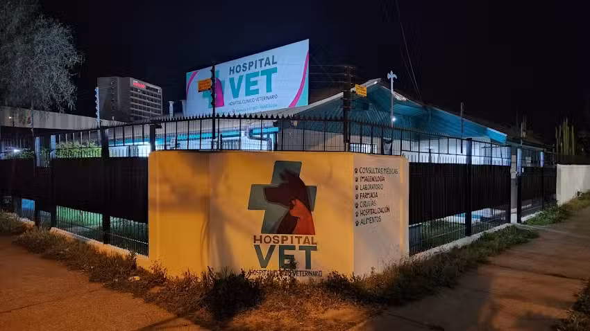 HOSPITAL VET RANCAGUA