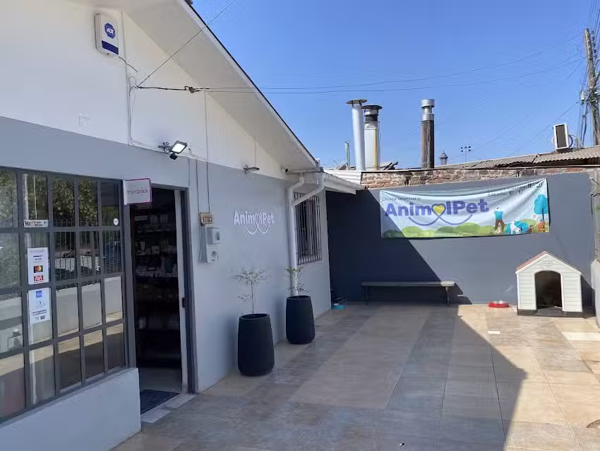 Hospital Veterinario Animal Pet