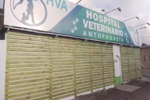 Hospital Veterinario Antofagasta