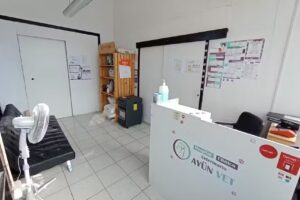 Hospital Veterinario Ayun Vet