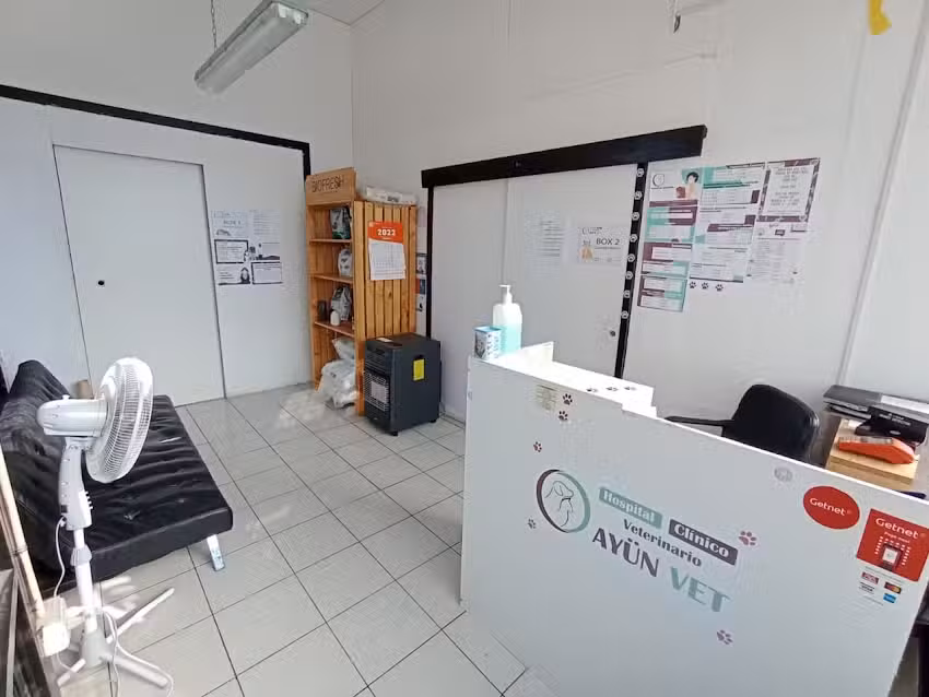 Hospital Veterinario Ayun Vet