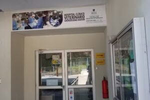 Hospital Veterinario Docente Universidad Mayor