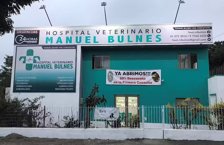 Hospital Veterinario Manuel Bulnes