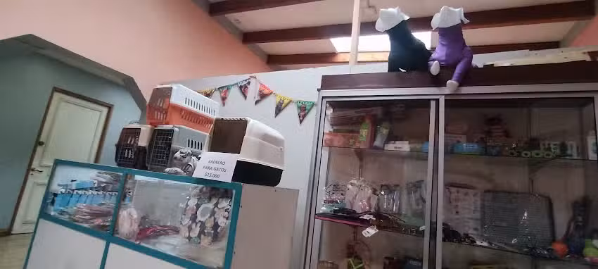 Hospital Veterinario Mofivets