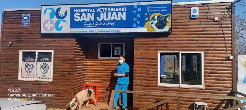 Hospital veterinario San Juan