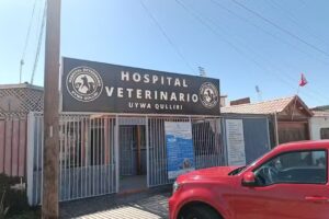 HOSPITAL VETERINARIO Uywa Qulliri, Pozo Almonte