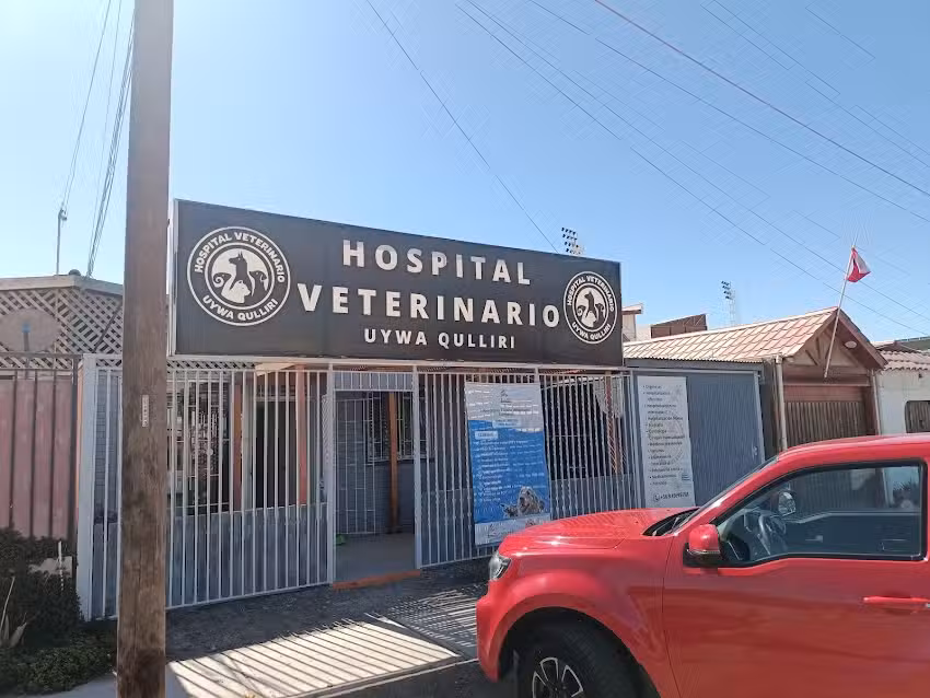 HOSPITAL VETERINARIO Uywa Qulliri, Pozo Almonte