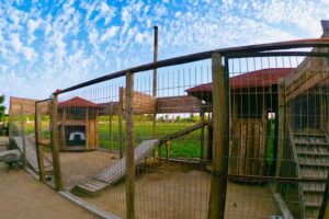 Hotel Canino del Maule