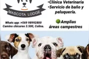 Hotel Canino Mascota Lodge