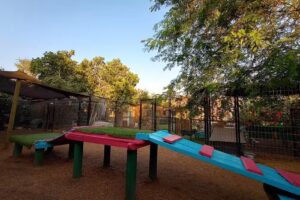 Hotel canino y petshop MANTRA