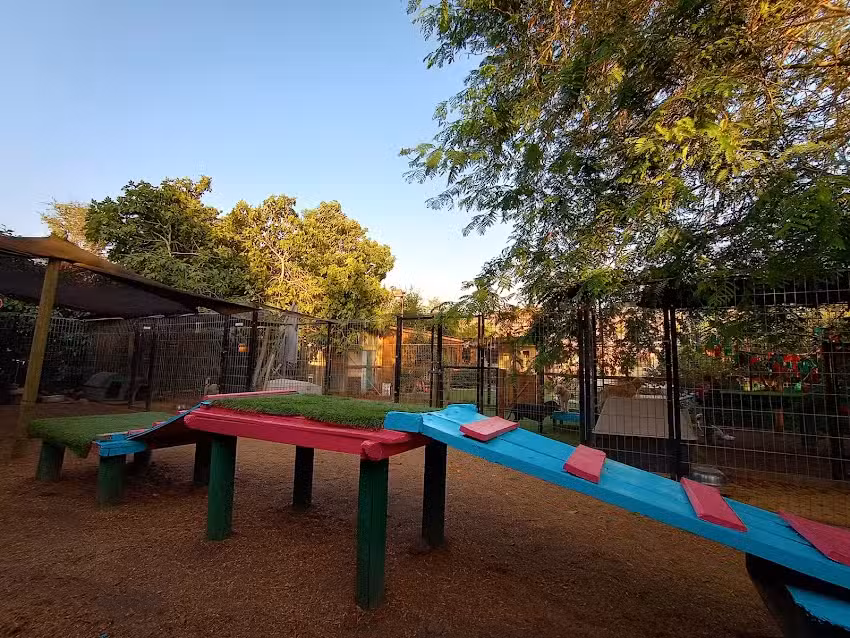 Hotel canino y petshop MANTRA