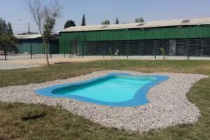 Hotel Jard&iacute;n Animal