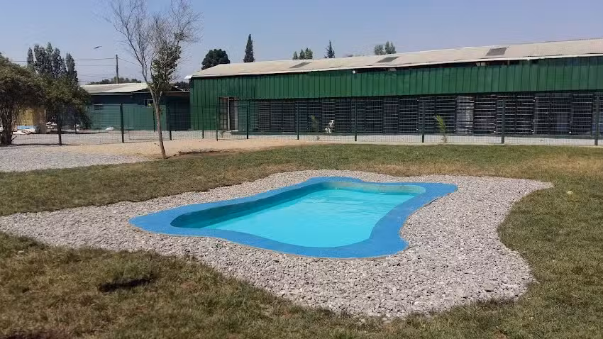 Hotel Jard&iacute;n Animal