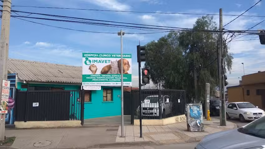 IMAVET-Hosp. Veterinario