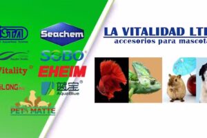 Imp. y Exp. La Vitalidad LTDA