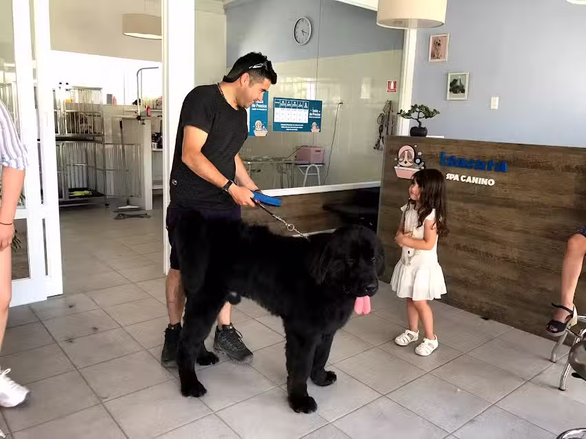 Isacura spa canino