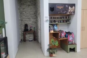 Karuna Clinica Felina