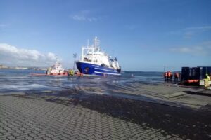 Kiltros. Tienda Para Mascotas