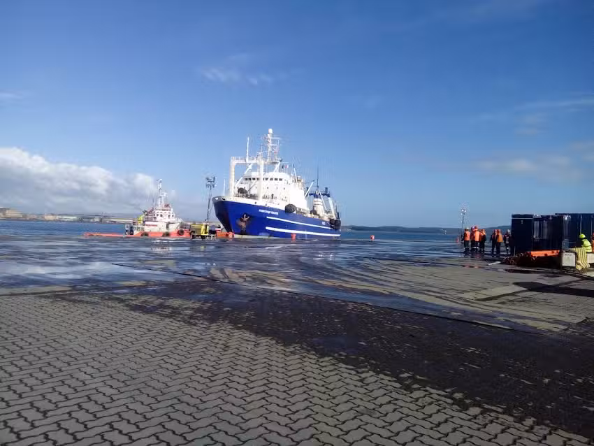 Kiltros. Tienda Para Mascotas