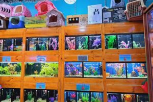 La casa acu&aacute;tica 🐠🌿