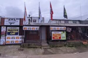 La casa de la mascota spa