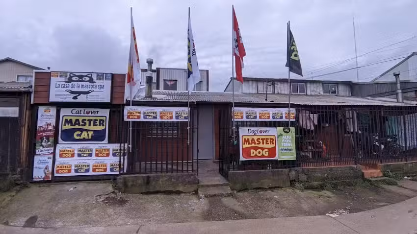 La casa de la mascota spa