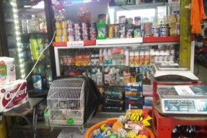 La nueva jerusalen (don pedro)