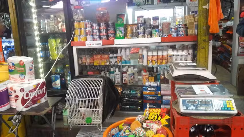 La nueva jerusalen (don pedro)