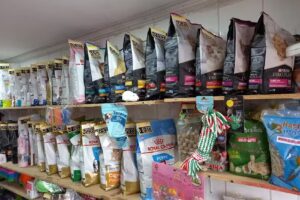 La pic&aacute; de .i mascota