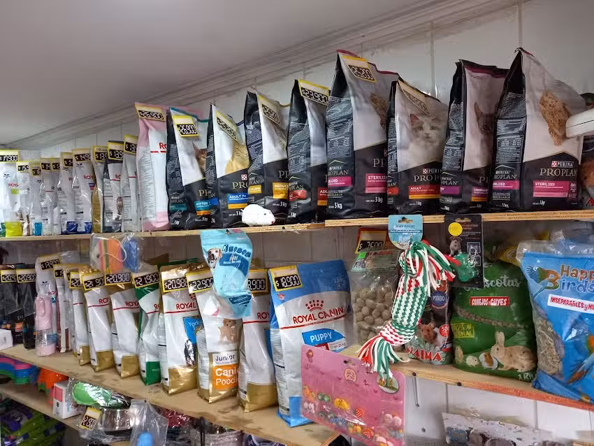 La pic&aacute; de .i mascota