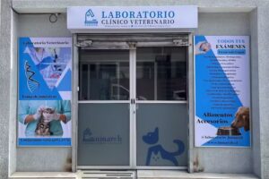 Laboratorio Veterinario Lumarch
