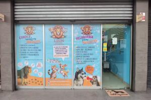 León Clínica Veterinaria