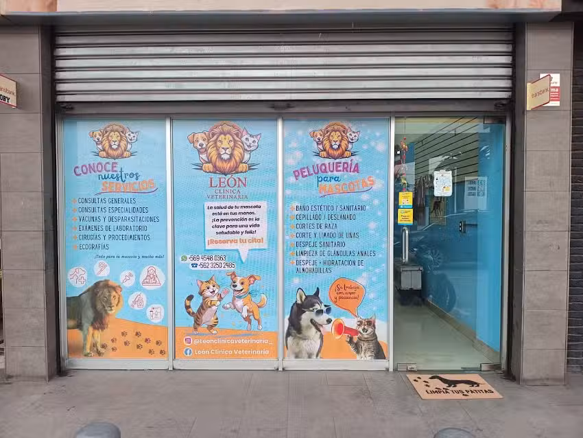 Le&oacute;n Cl&iacute;nica Veterinaria