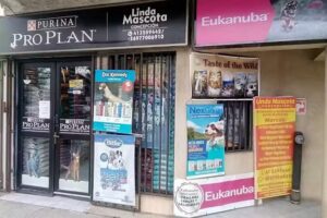 Linda Mascota Concepci&oacute;n