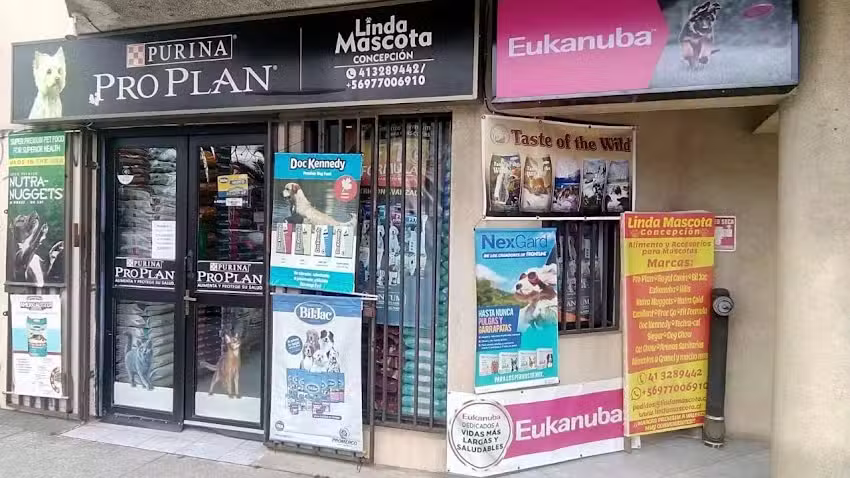 Linda Mascota Concepci&oacute;n